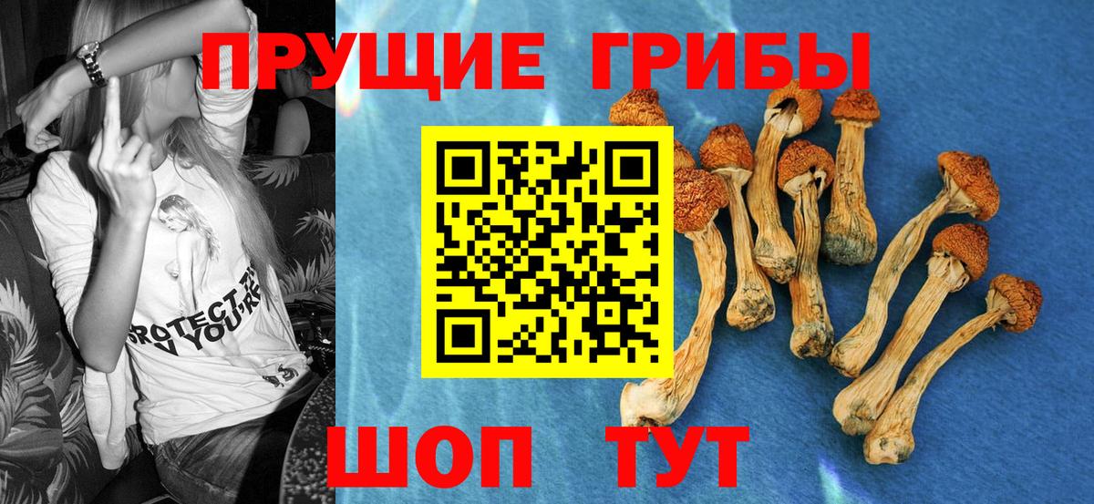 Галлюциногенные грибы Magic Shrooms  Вход с VPN  хочу наркоту  Партизанск 
