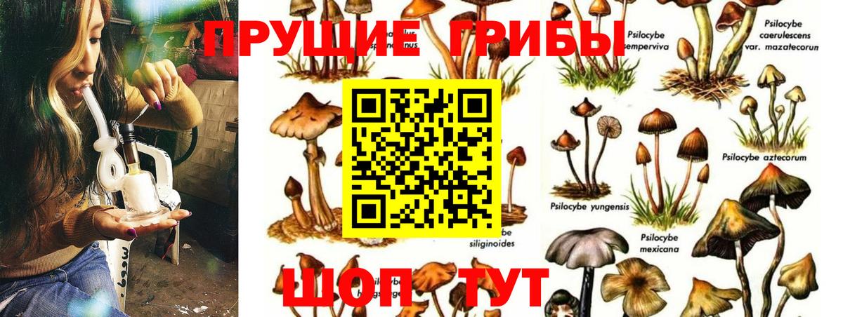 Галлюциногенные грибы MAGIC MUSHROOMS Партизанск